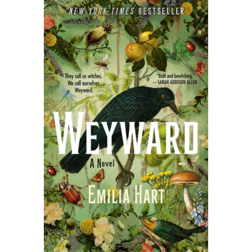 St. Martin's Publishing Group Weyward (häftad, eng)