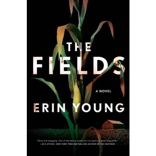 Flatiron Books Fields (häftad, eng)