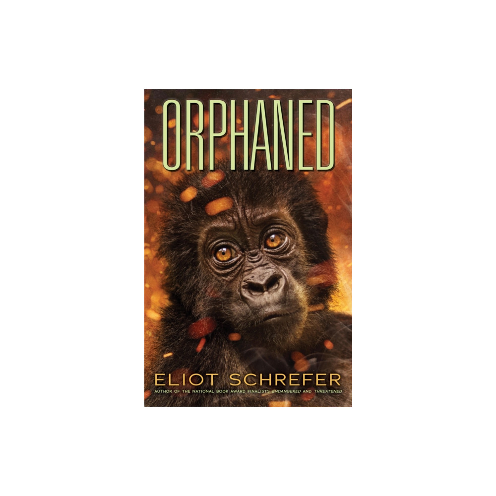 Produktbild för Orphaned (Ape Quartet #4) (häftad, eng)