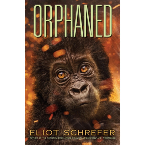 Scholastic Inc. Orphaned (Ape Quartet #4) (häftad, eng)