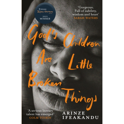 Orion Publishing Co God's Children Are Little Broken Things (häftad, eng)