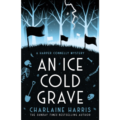 Orion Publishing Co An Ice Cold Grave (häftad, eng)
