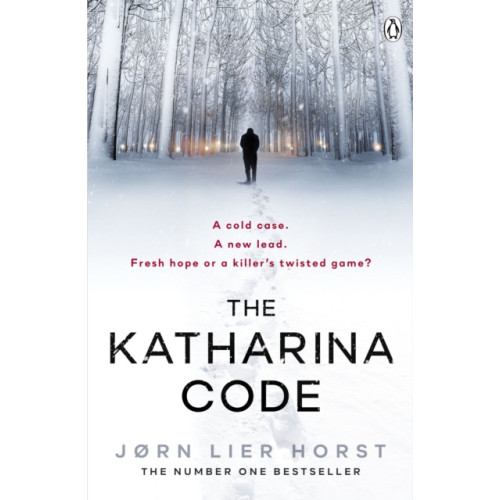 Penguin books ltd The Katharina Code (häftad, eng)