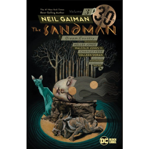 DC Comics The Sandman Volume 3 (häftad, eng)