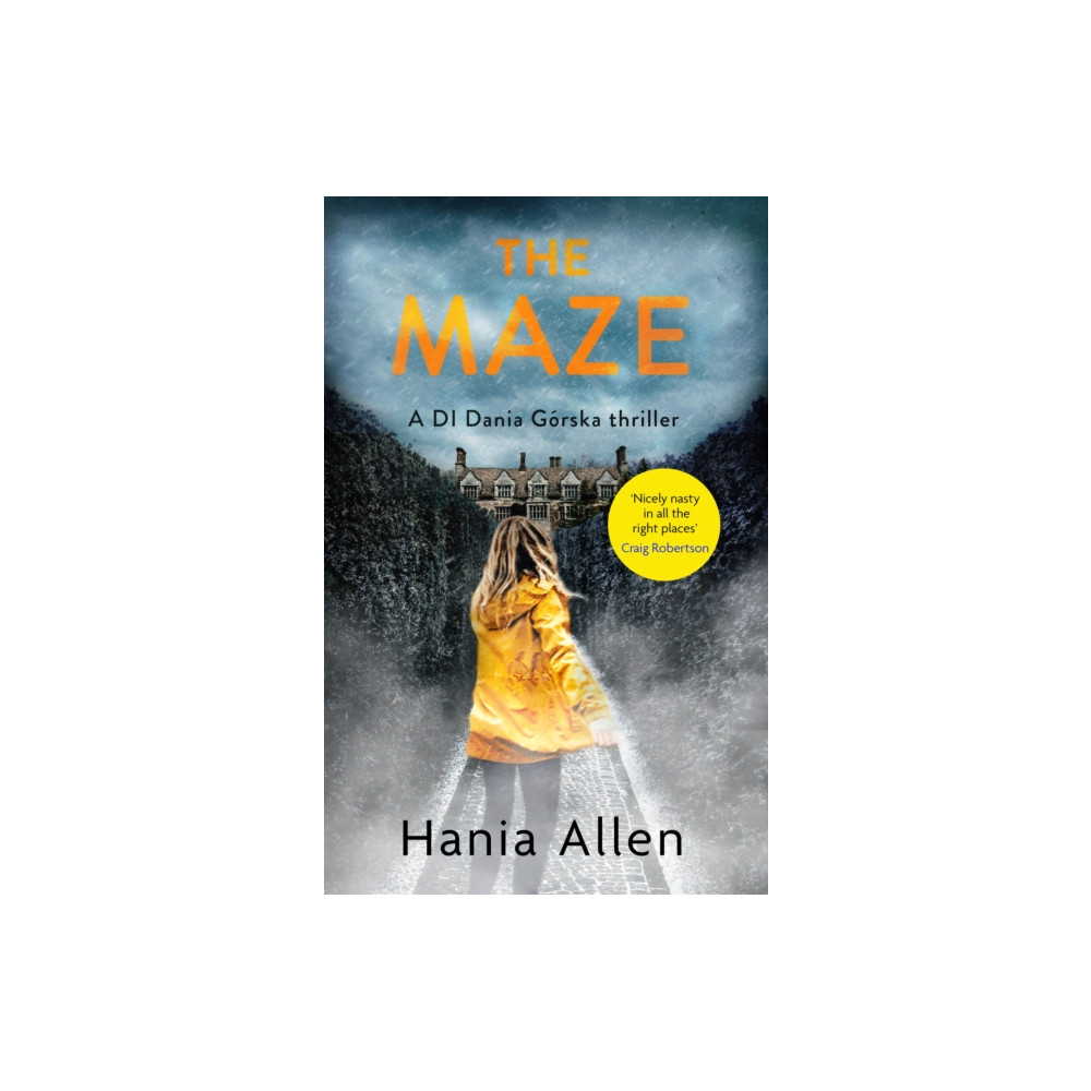 Produktbild för The Maze (häftad, eng)