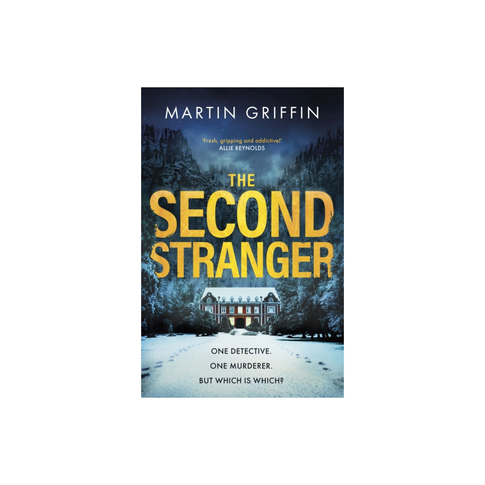 Produktbild för The Second Stranger (häftad, eng)