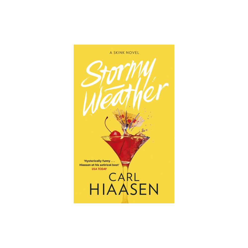 Produktbild för Stormy Weather (häftad, eng)