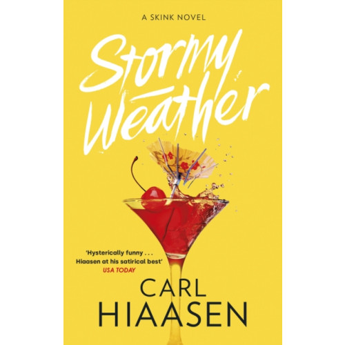 Little, Brown Book Group Stormy Weather (häftad, eng)