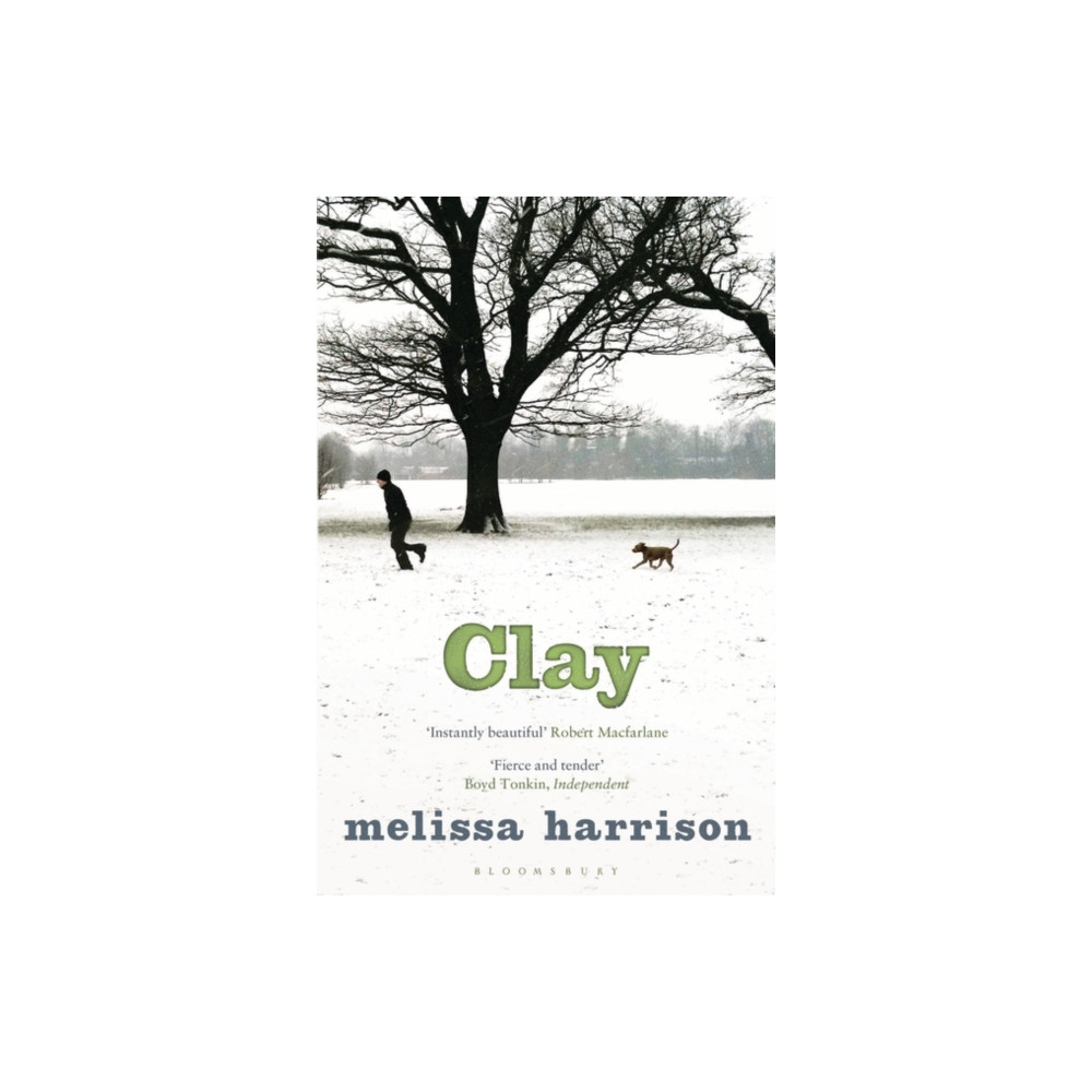 Produktbild för Clay (häftad, eng)