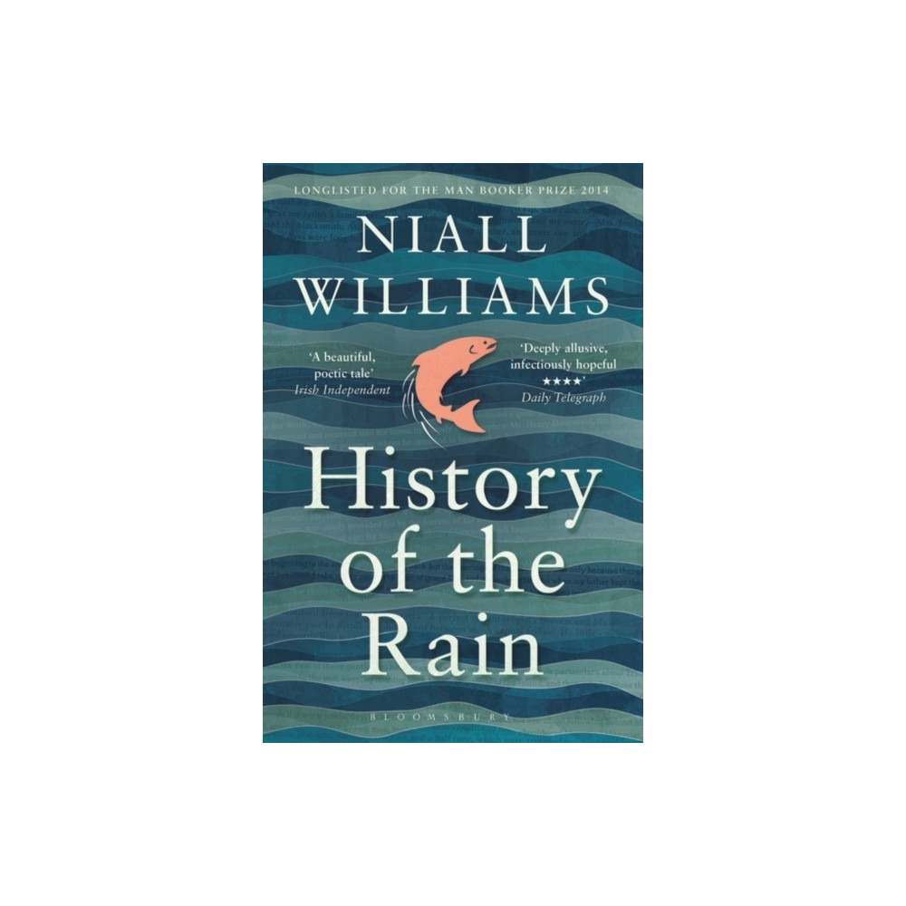 Produktbild för History of the Rain (häftad, eng)