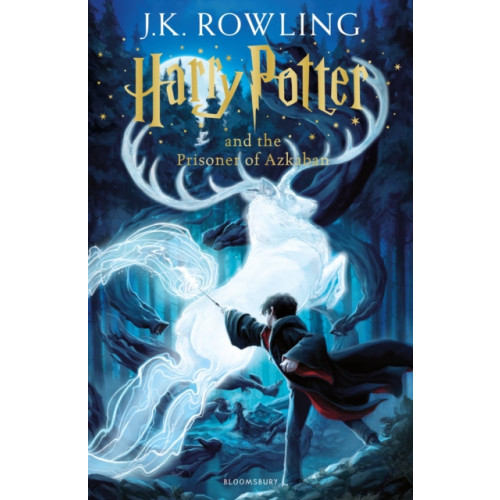 Bloomsbury Publishing PLC Harry Potter and the Prisoner of Azkaban (inbunden, eng)