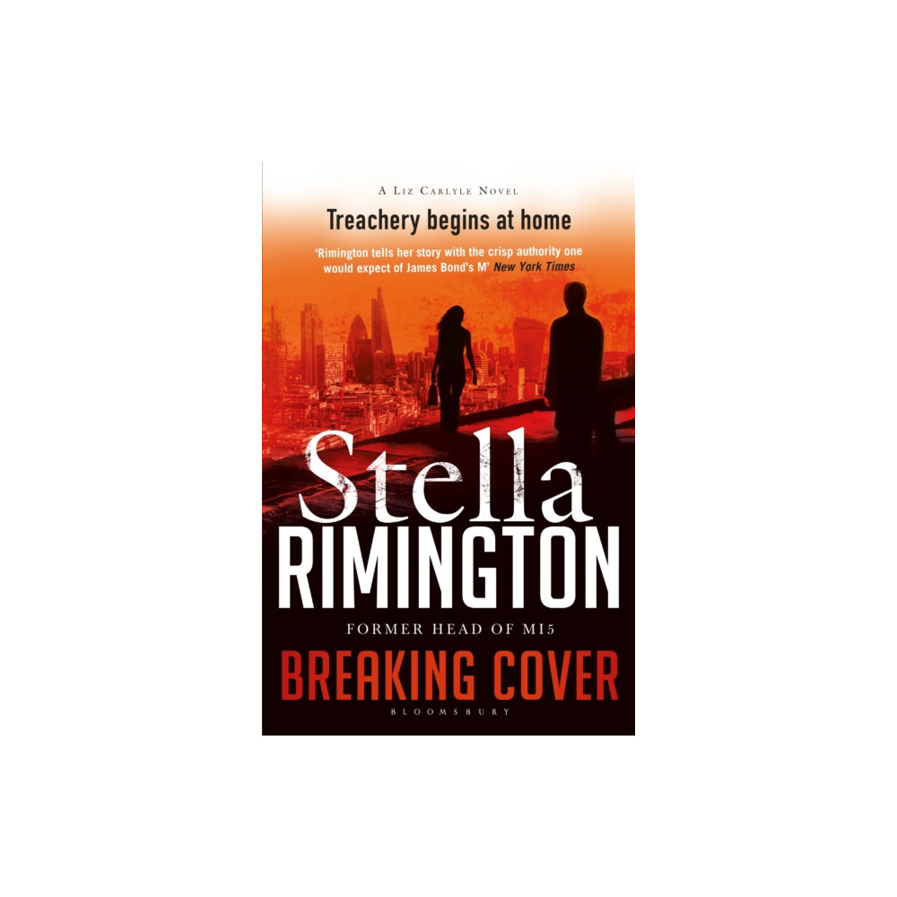 Produktbild för Breaking Cover (häftad, eng)