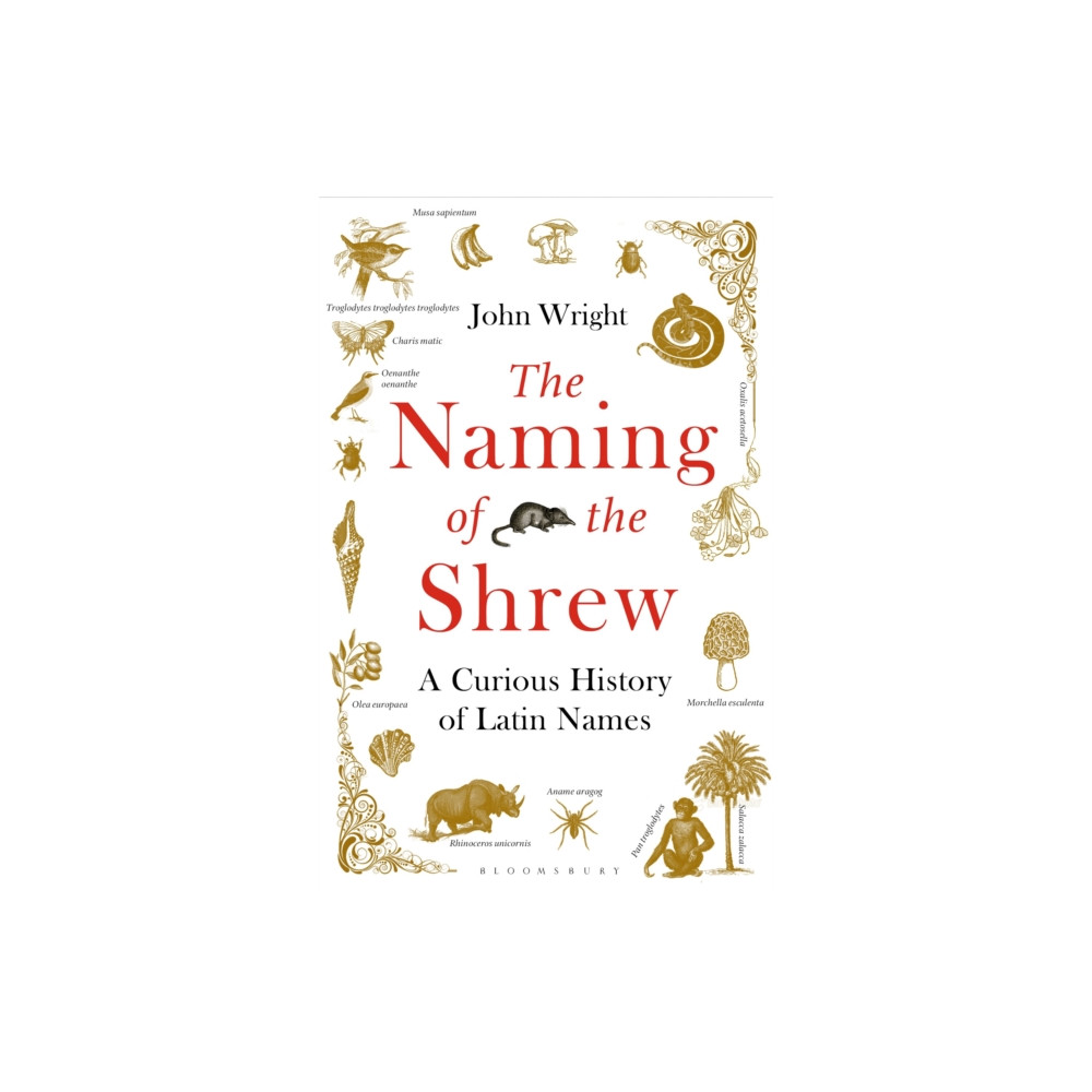 Produktbild för The Naming of the Shrew (häftad, eng)