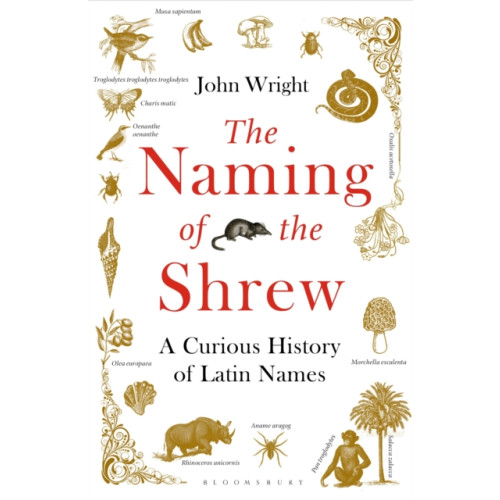 Bloomsbury Publishing PLC The Naming of the Shrew (häftad, eng)