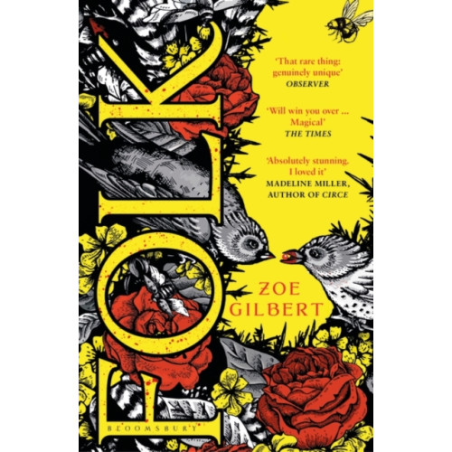 Bloomsbury Publishing PLC Folk (häftad, eng)