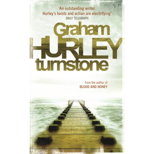 Orion Publishing Co Turnstone (häftad, eng)