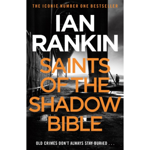 Orion Publishing Co Saints of the Shadow Bible (häftad, eng)