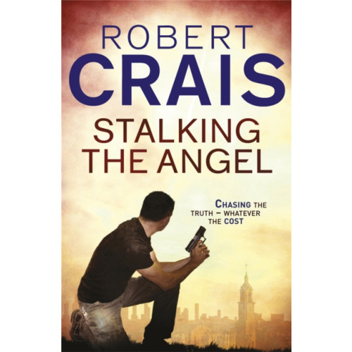 Orion Publishing Co Stalking The Angel (häftad, eng)