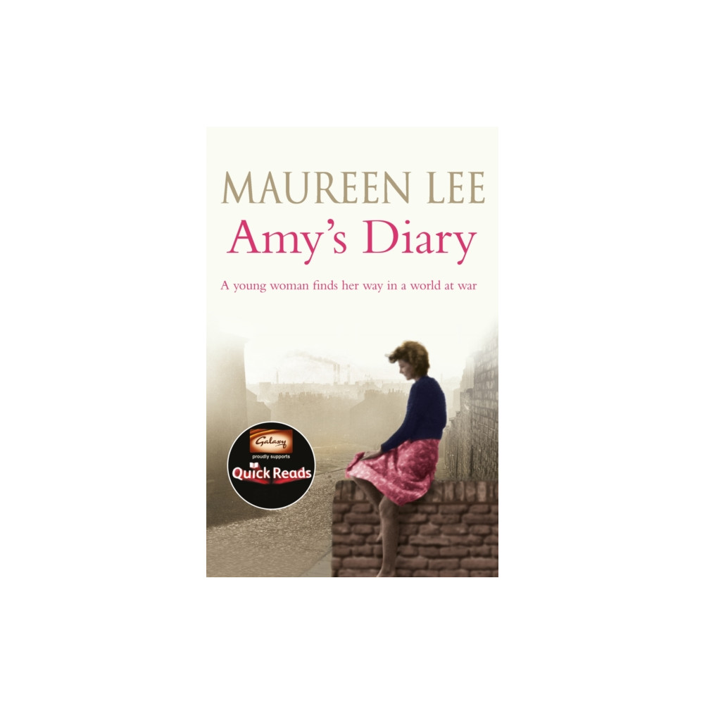 Produktbild för Amy's Diary (häftad, eng)
