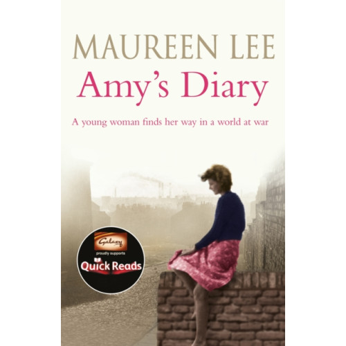 Orion Publishing Co Amy's Diary (häftad, eng)