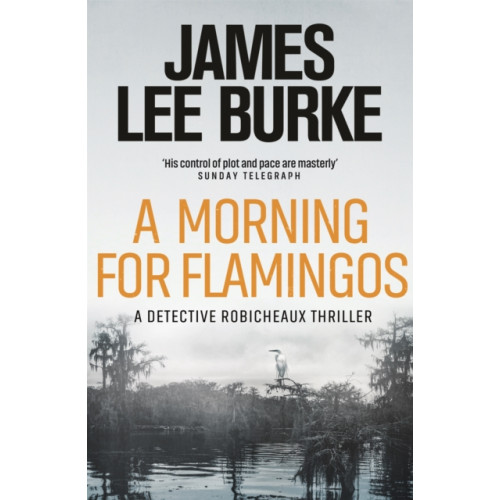 Orion Publishing Co A Morning For Flamingos (häftad, eng)