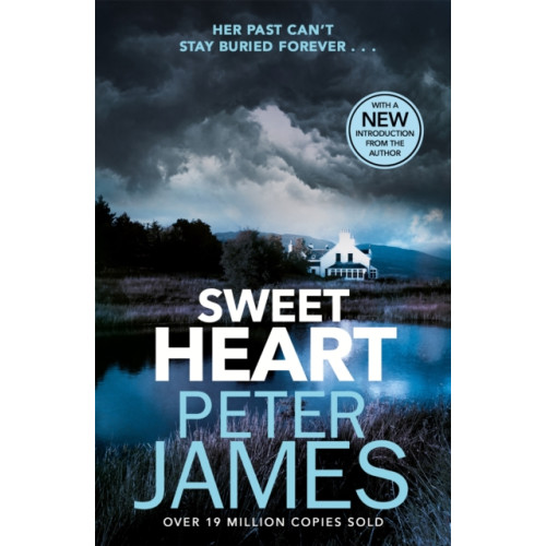 Orion Publishing Co Sweet Heart (häftad, eng)