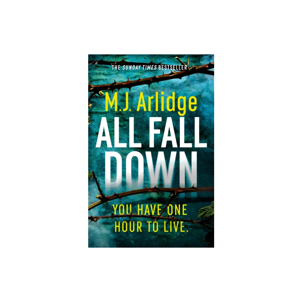 Produktbild för All Fall Down (häftad, eng)