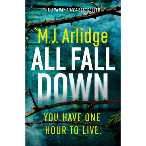 Orion Publishing Co All Fall Down (häftad, eng)