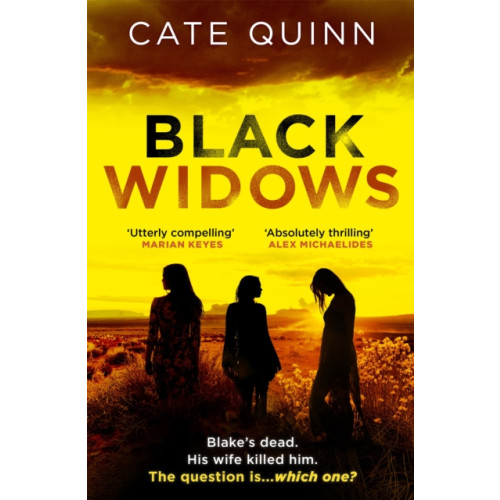 Orion Publishing Co Black Widows (häftad, eng)