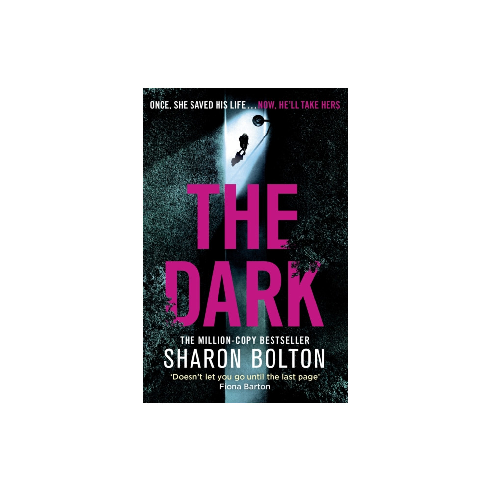 Produktbild för The Dark (häftad, eng)