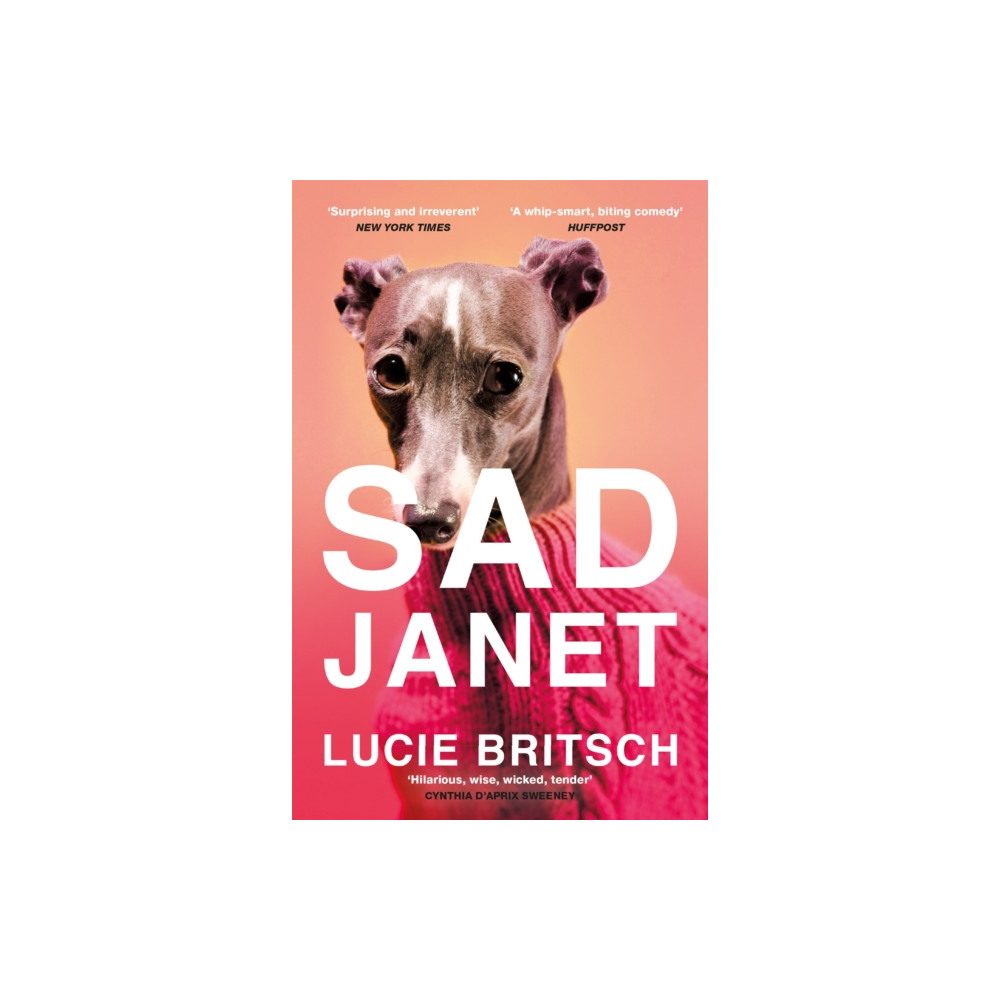 Produktbild för Sad Janet (häftad, eng)