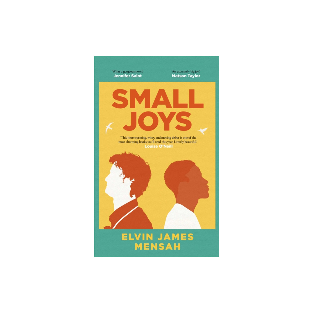 Produktbild för Small Joys (inbunden, eng)