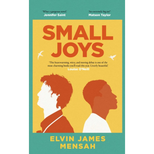 Simon & Schuster Ltd Small Joys (inbunden, eng)