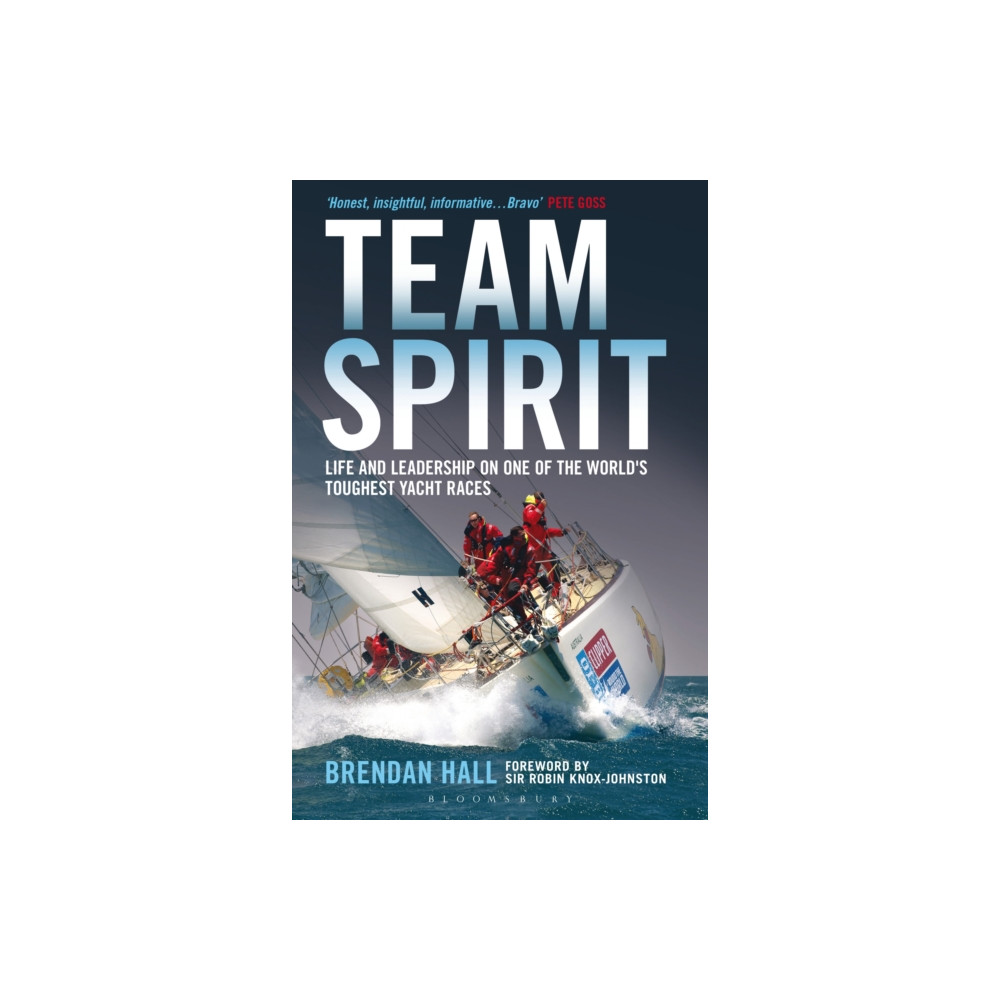 Produktbild för Team Spirit (häftad, eng)