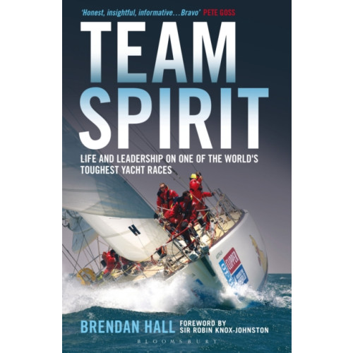 Bloomsbury Publishing PLC Team Spirit (häftad, eng)