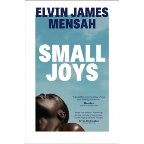 Simon & Schuster Ltd Small Joys (häftad, eng)