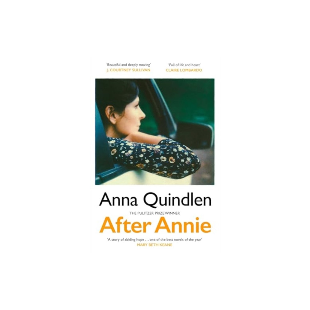 Produktbild för After Annie (inbunden, eng)