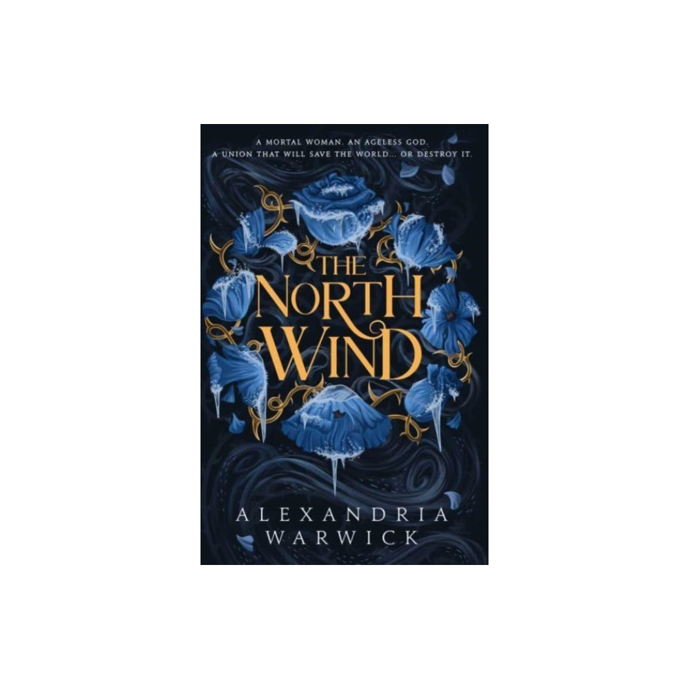 Produktbild för The North Wind (häftad, eng)