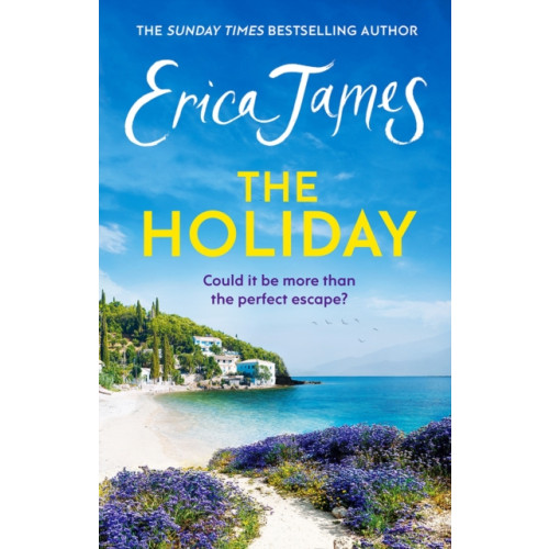 Orion Publishing Co The Holiday (häftad, eng)