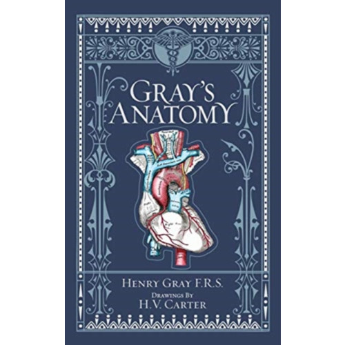 Union Square & Co. Gray's Anatomy (inbunden, eng)