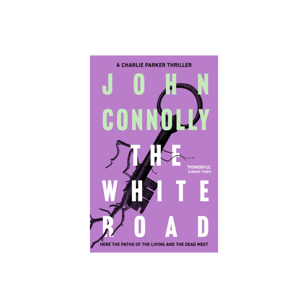 Produktbild för The White Road (häftad, eng)