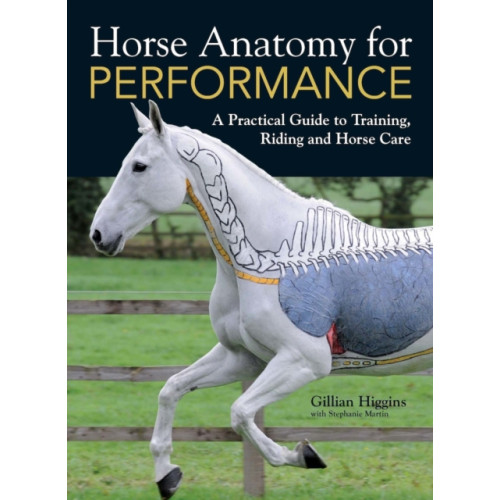 David & Charles Horse Anatomy for Performance (inbunden, eng)