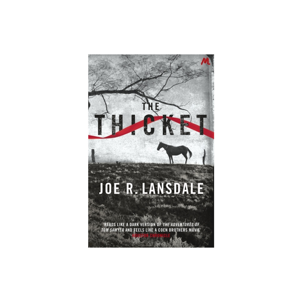 Produktbild för The Thicket (häftad, eng)