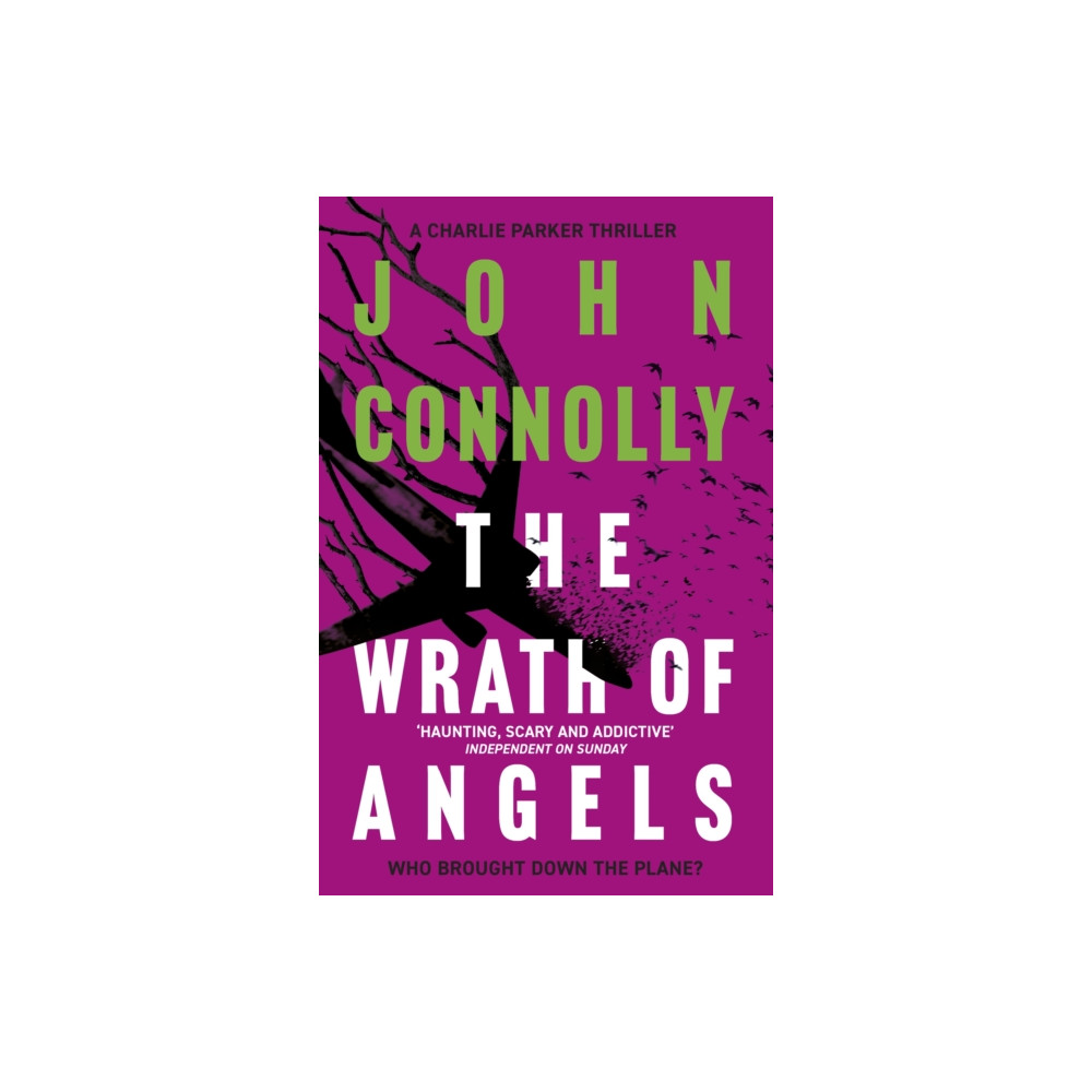 Produktbild för The Wrath of Angels (häftad, eng)