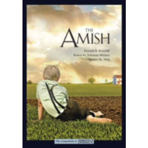 Johns Hopkins University Press The Amish (häftad, eng)