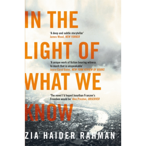 Pan Macmillan In the Light of What We Know (häftad, eng)