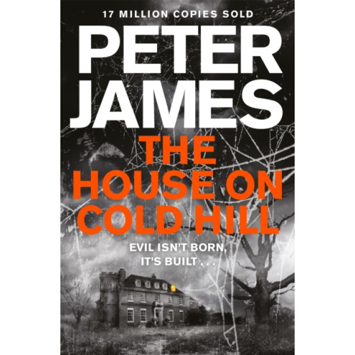 Pan Macmillan The House on Cold Hill (häftad, eng)