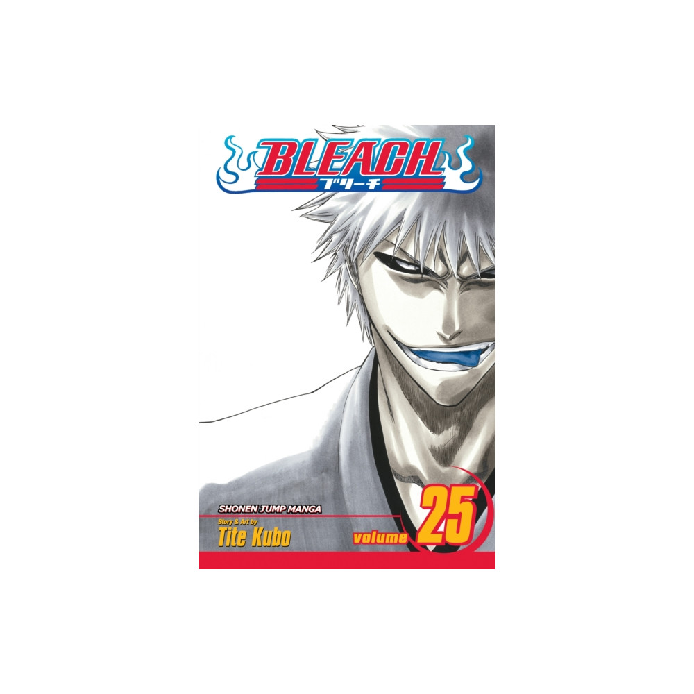 Produktbild för Bleach, Vol. 25 (häftad, eng)