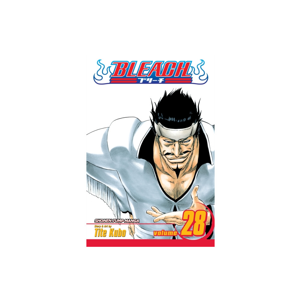 Produktbild för Bleach, Vol. 28 (häftad, eng)