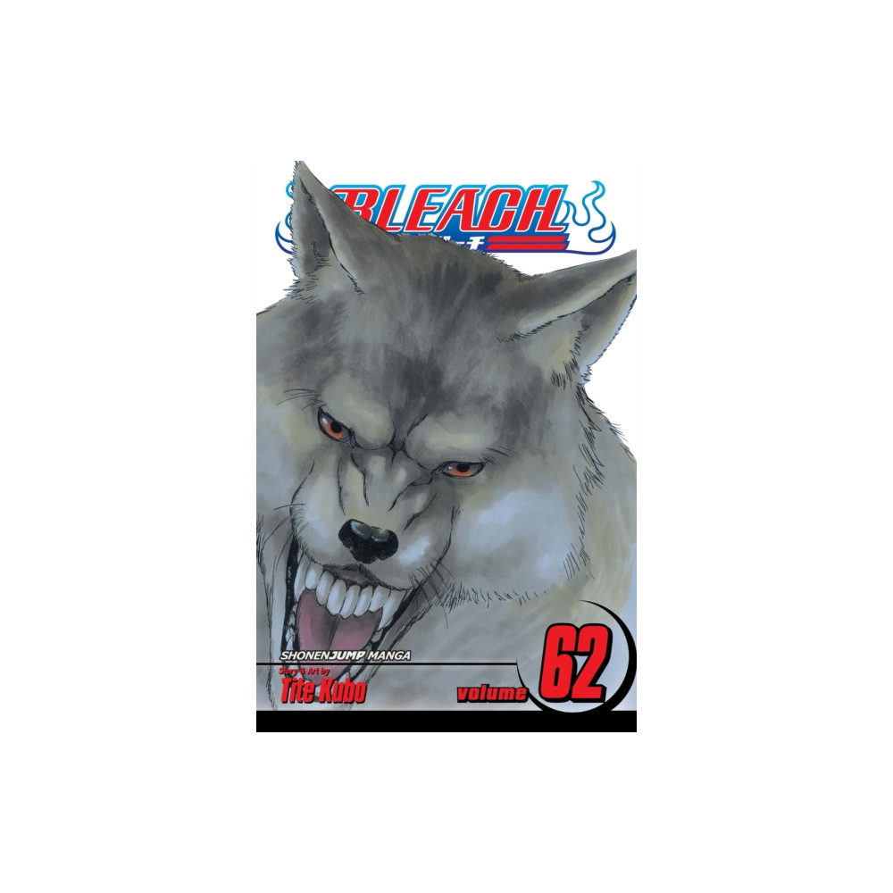 Produktbild för Bleach, Vol. 62 (häftad, eng)